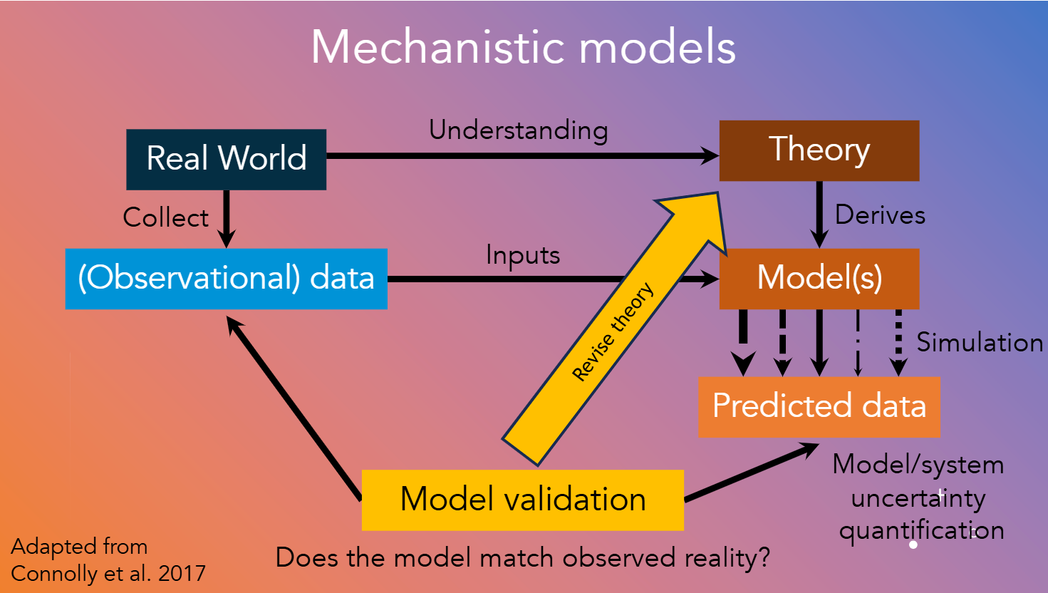 Mechanistic model explanation